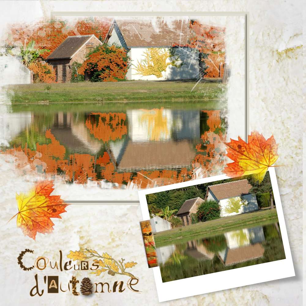 D__fi_couleurs_Moyson