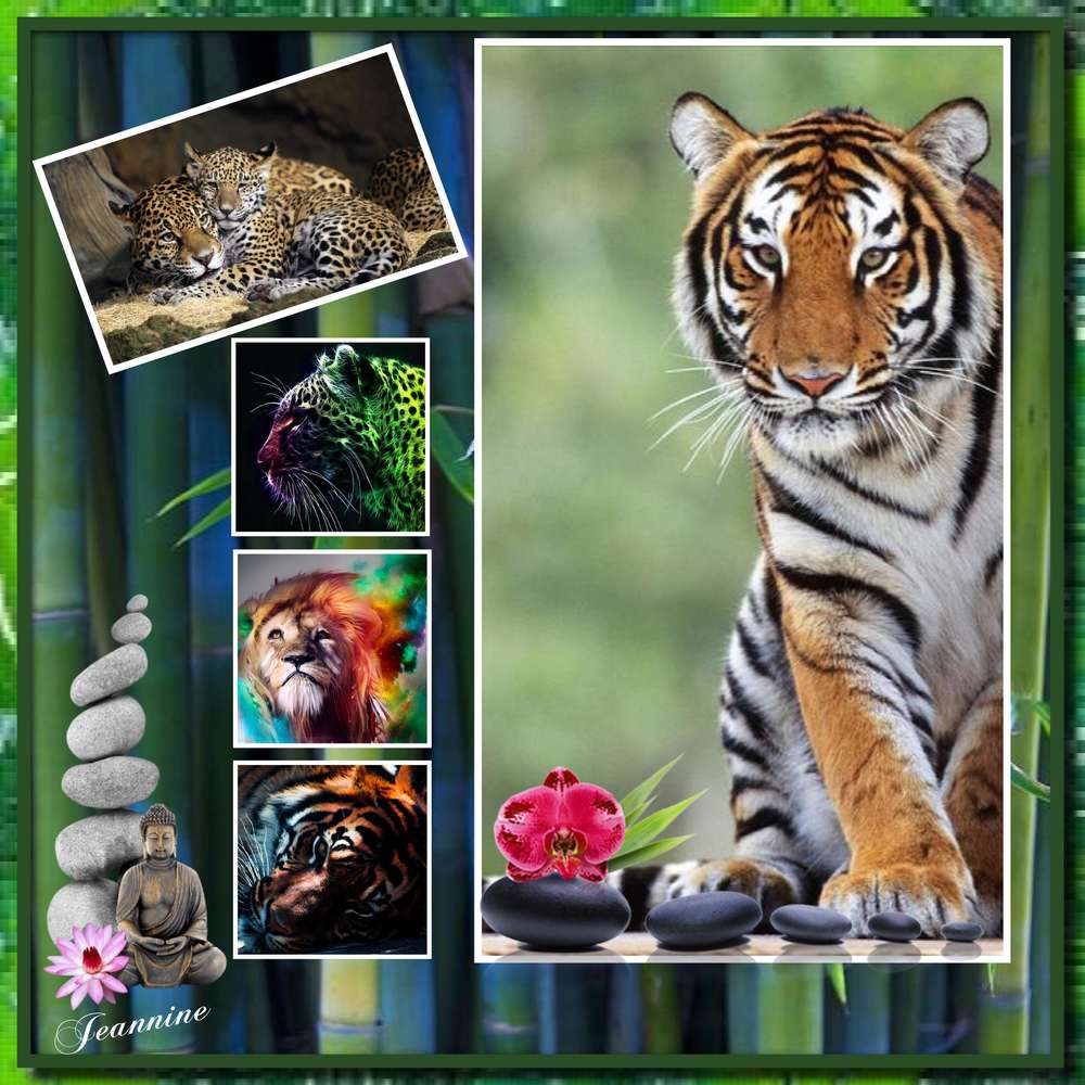 D__fi_devoir_de_vacances_-