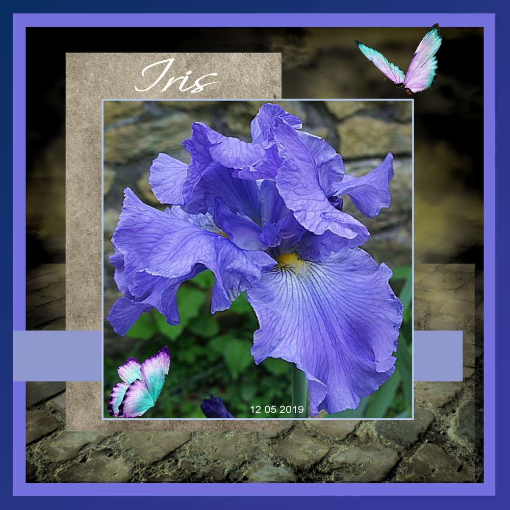 d__fi_giecat_29_05_2019