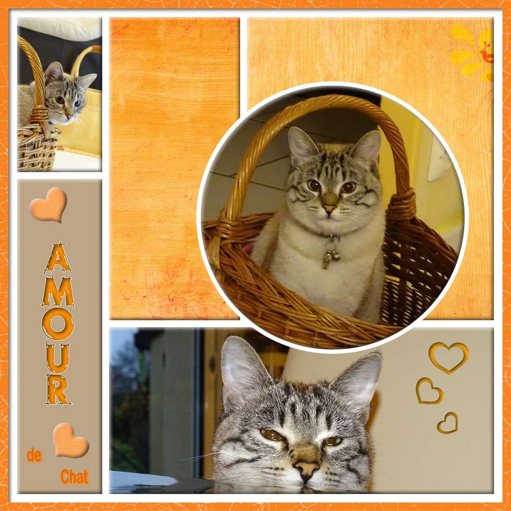 D__fi_Gilberte_-_Amour_-_14_f__vrier_2020