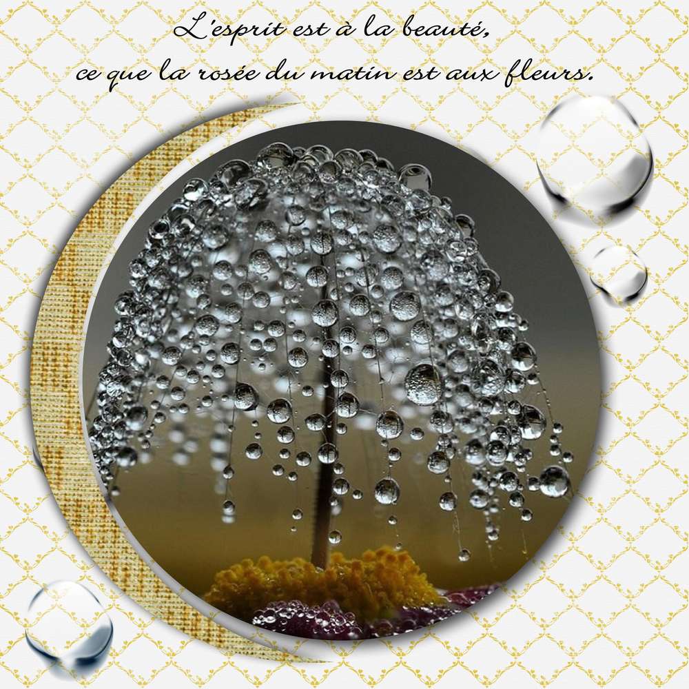 D__fi_Gilberte_janvier_2016