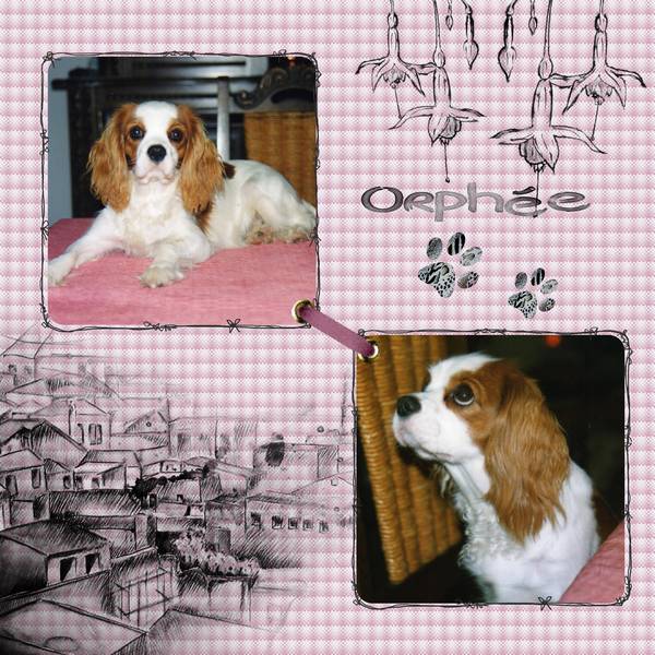 D__fi_Kinouliline__3_