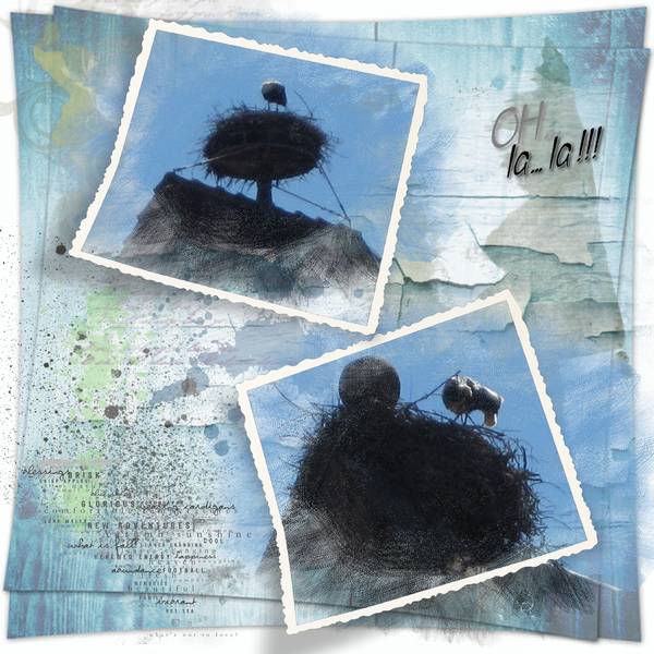 D__fi_Kinouliline_Photos_rat__es