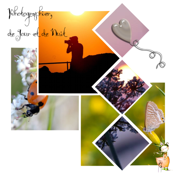 D__fi_Laurette__scrap_europ__en_04