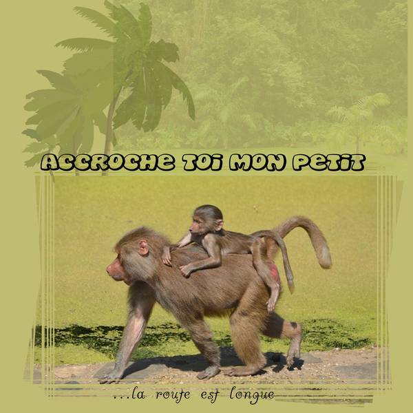 d__fi_Laurette_page_2