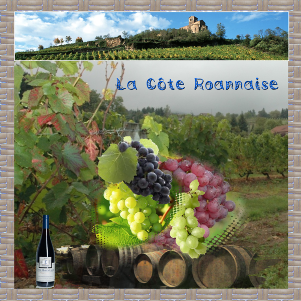 d__fi_laurette_raisins