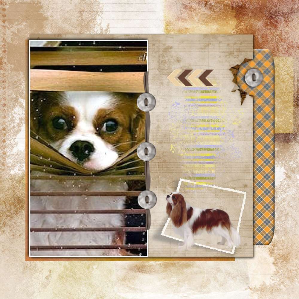 D__fi_Martinas_septembre