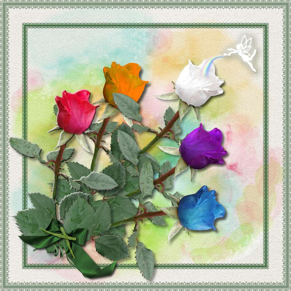 d__fi_max_rose_de_couleur