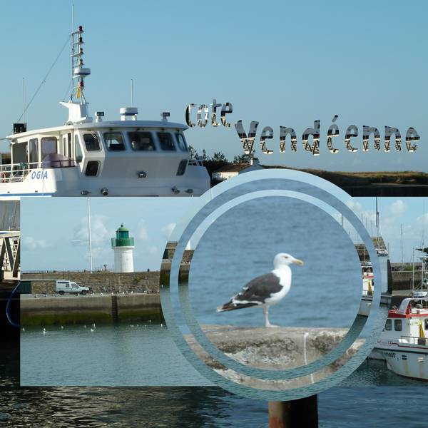 d__fi_moniq_millefeuilles