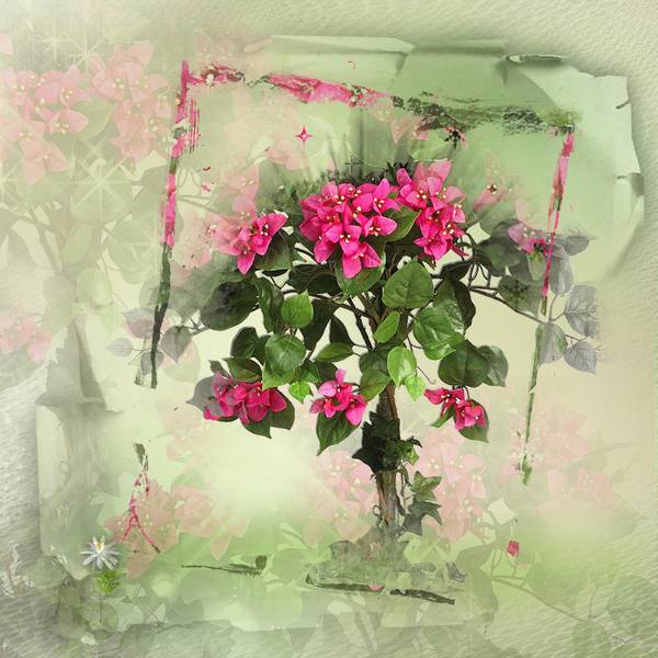 D__fi_noir_et_blanc_Kinouliline_3