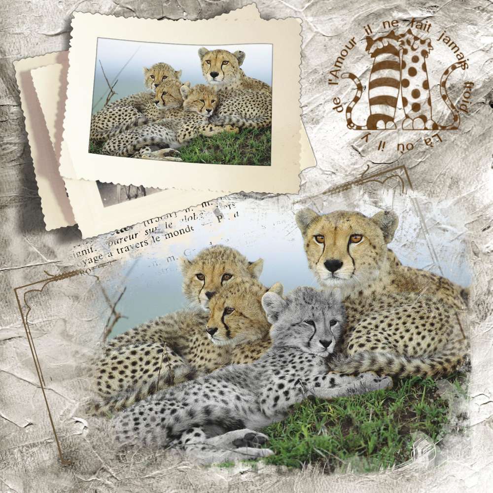 D__fi_octobre_2_Moyson