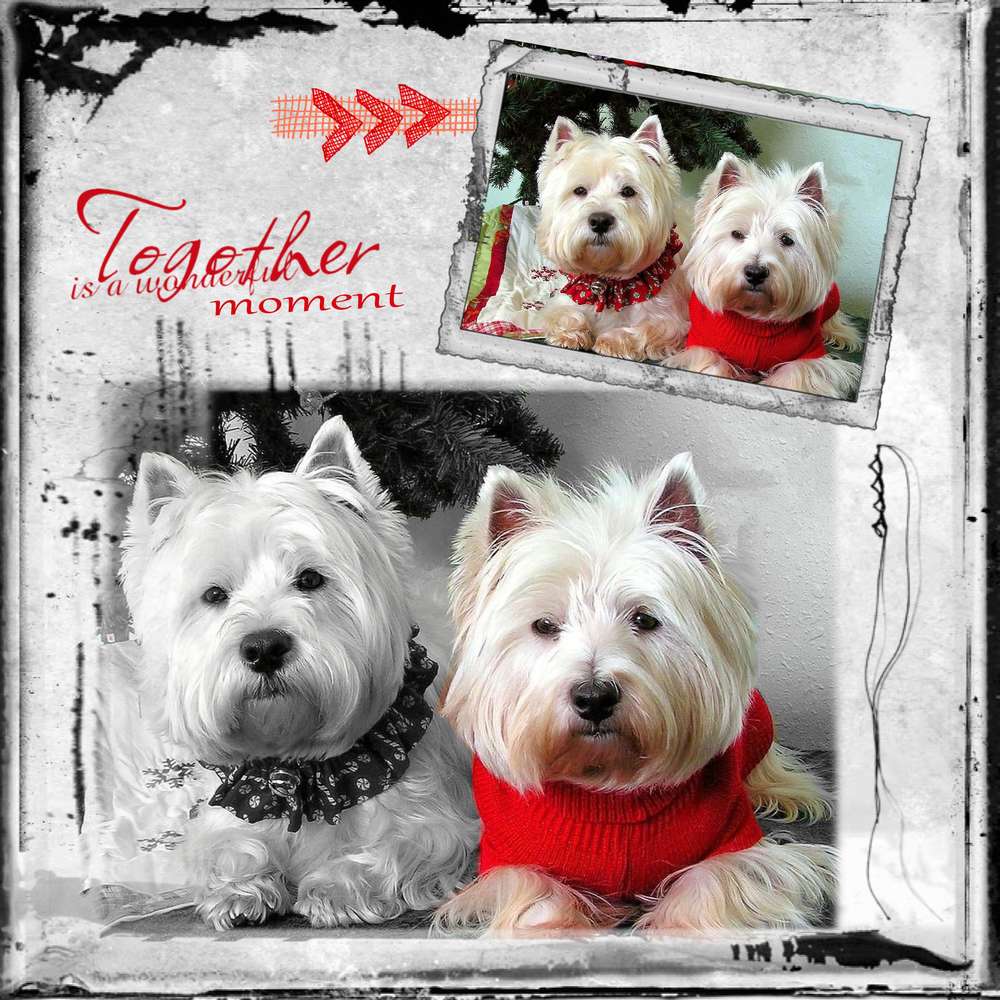 d__fi_octobre_Mamyrose