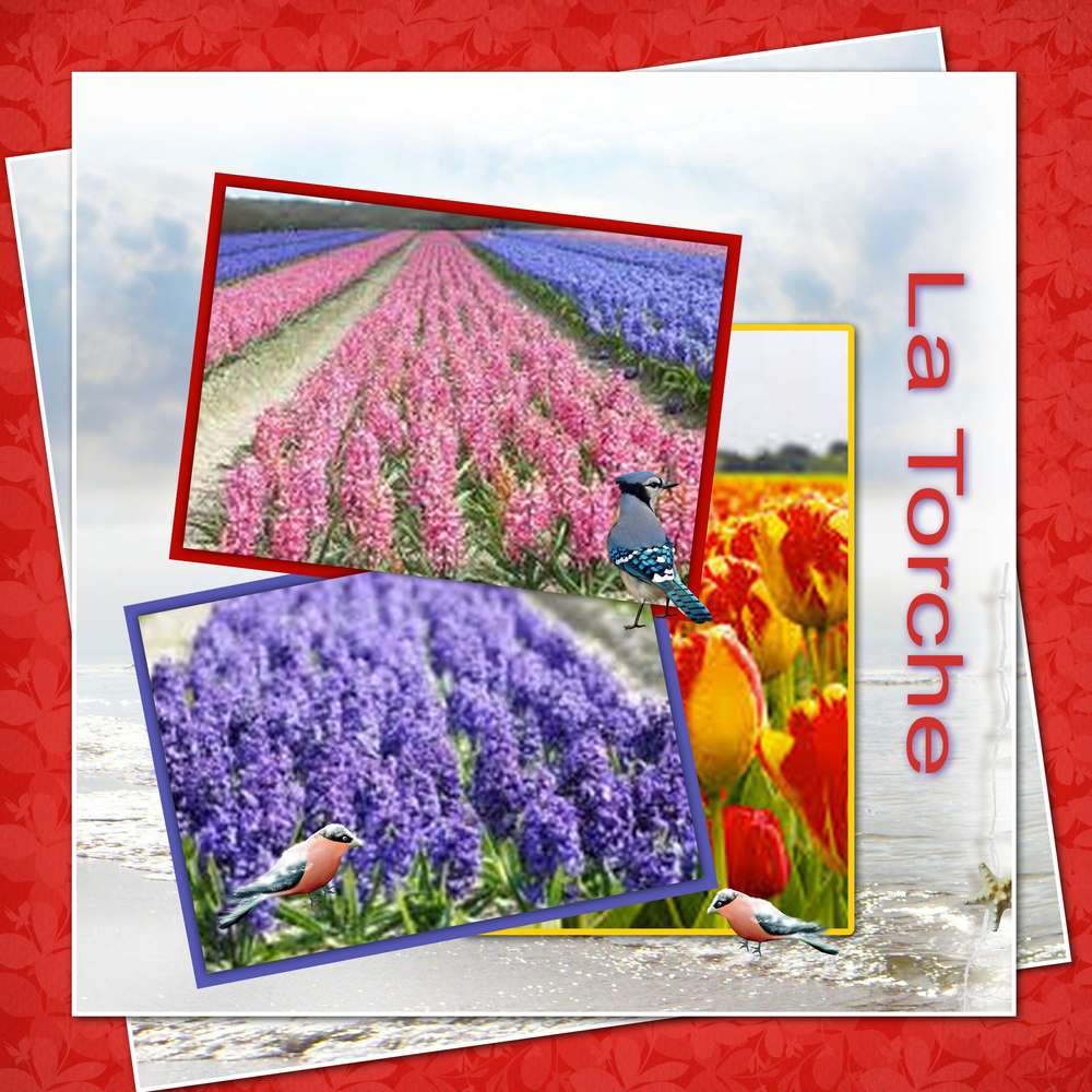 d__fi_printemps_2020