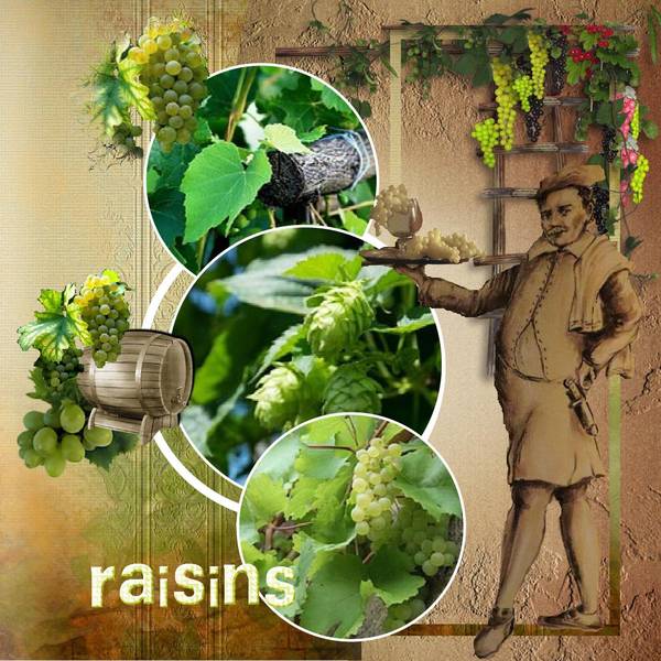 D__fi_raisin__page_2_