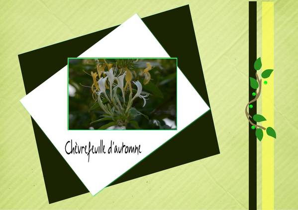 D__fi_scraplift_Gilberte