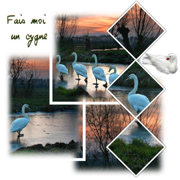 D__fi_semaine_43