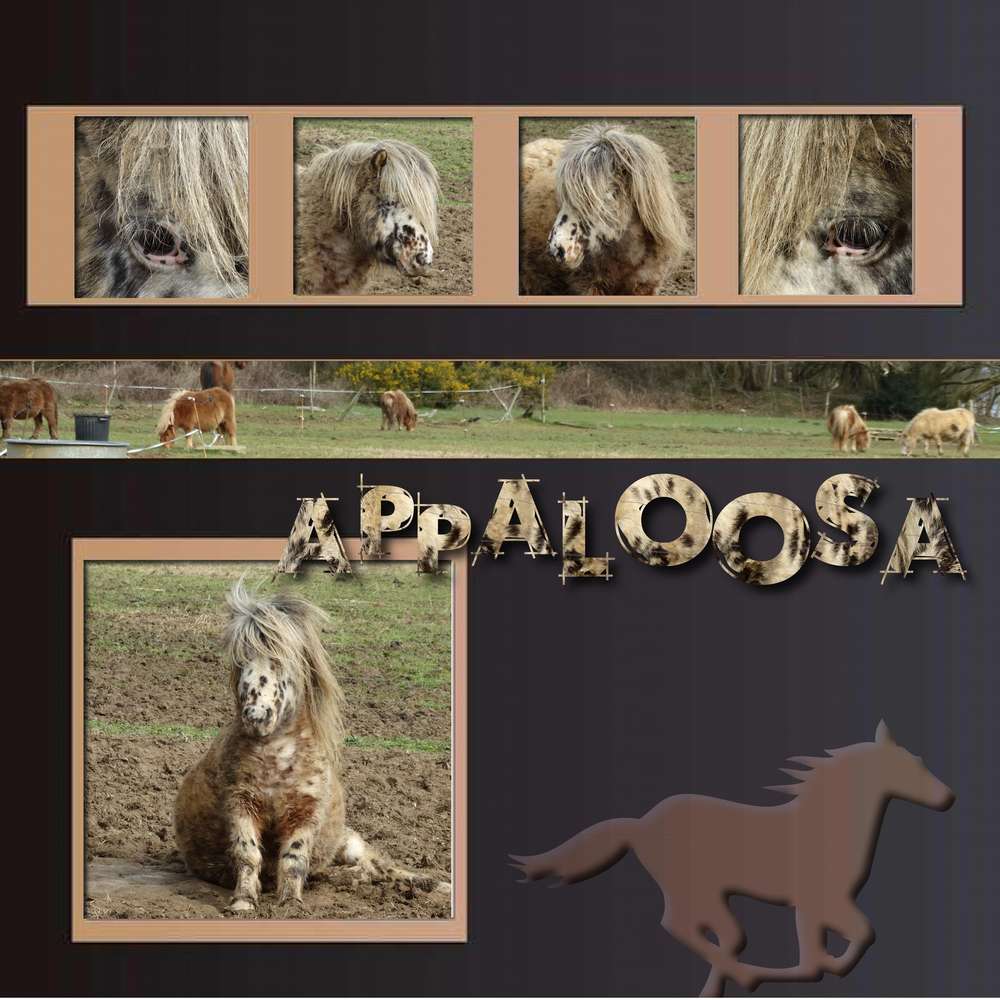 d__fi_template_giecat