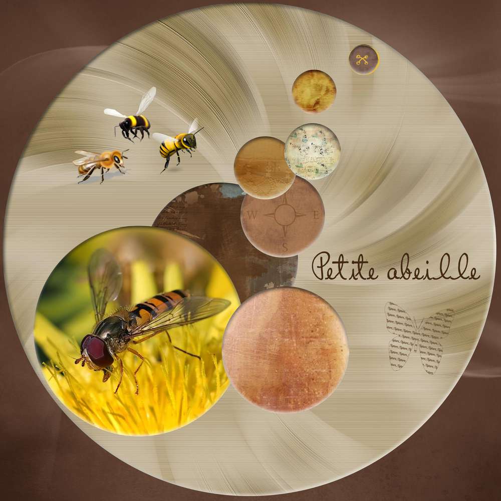 d__fi_template_Gilberte3