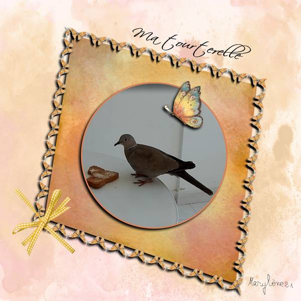 DÃ‰FI 47 LAURETTTE