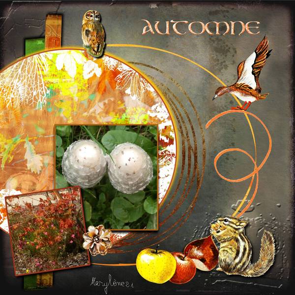 DÃ‰FI AUTOMNE DU DCIP