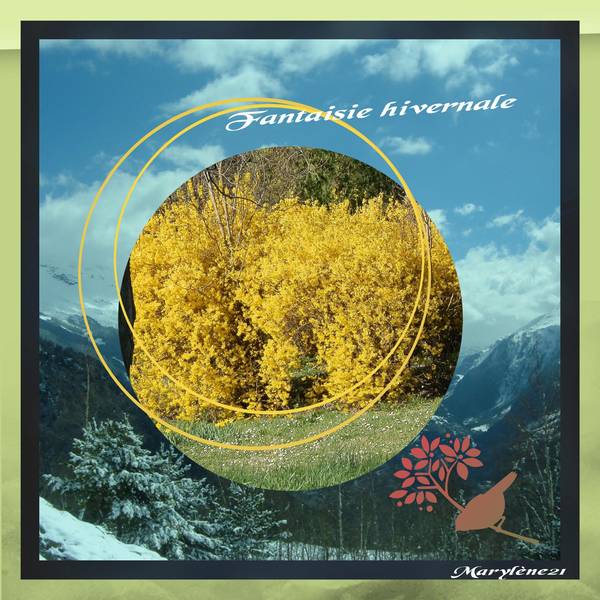 DÃ‰FI KINOULILINE