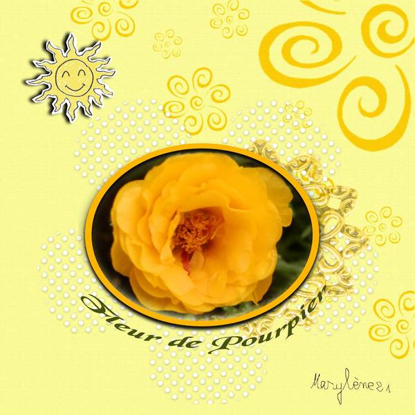 DÃ‰FI LAURETTE JAUNE