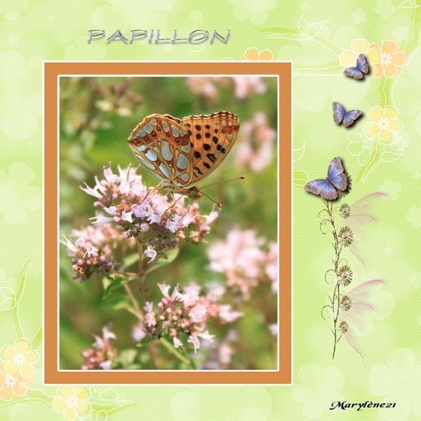 DÃ‰FI LAURETTE PAPILLON