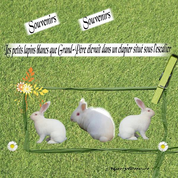 DÃ‰FI LAURETTE - SOUVENIR D'ENFANCE