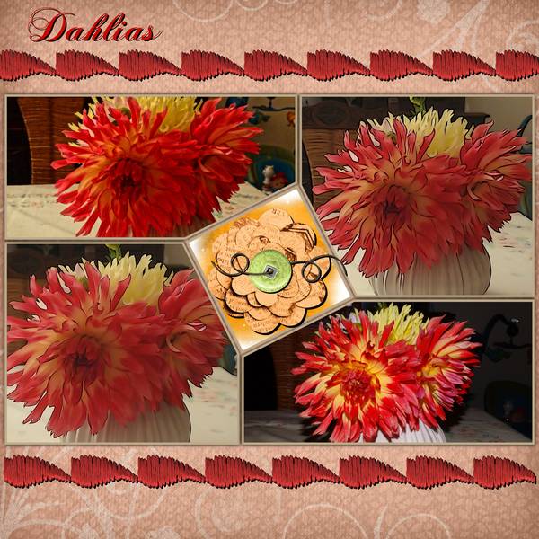 Dahlias_