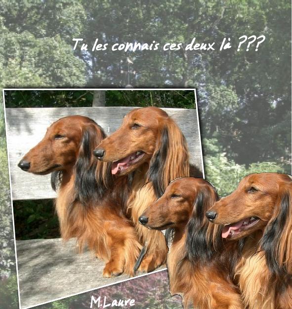 Dandy'lee  et son père Darling ....