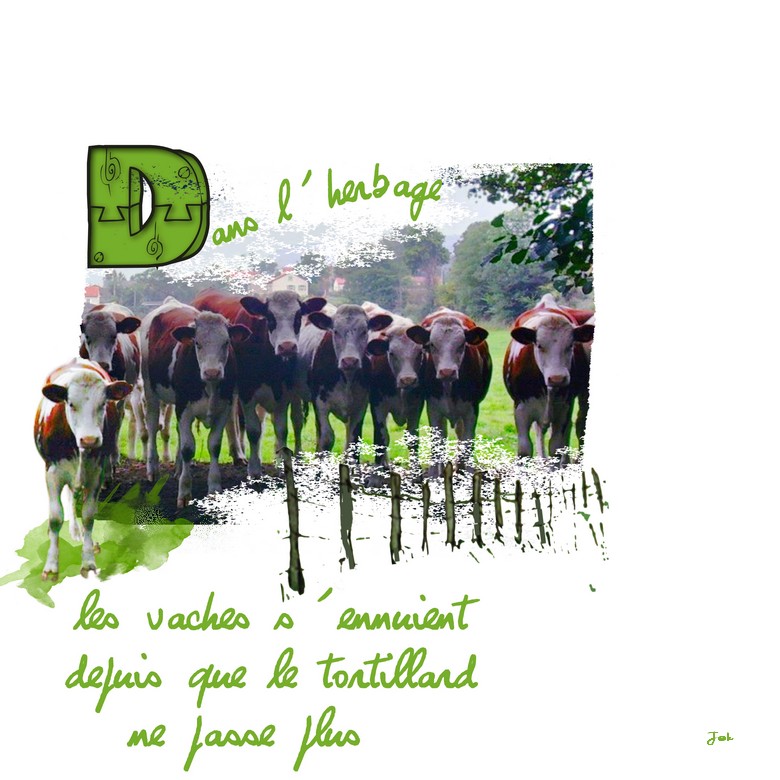 dans l herbage.jpg