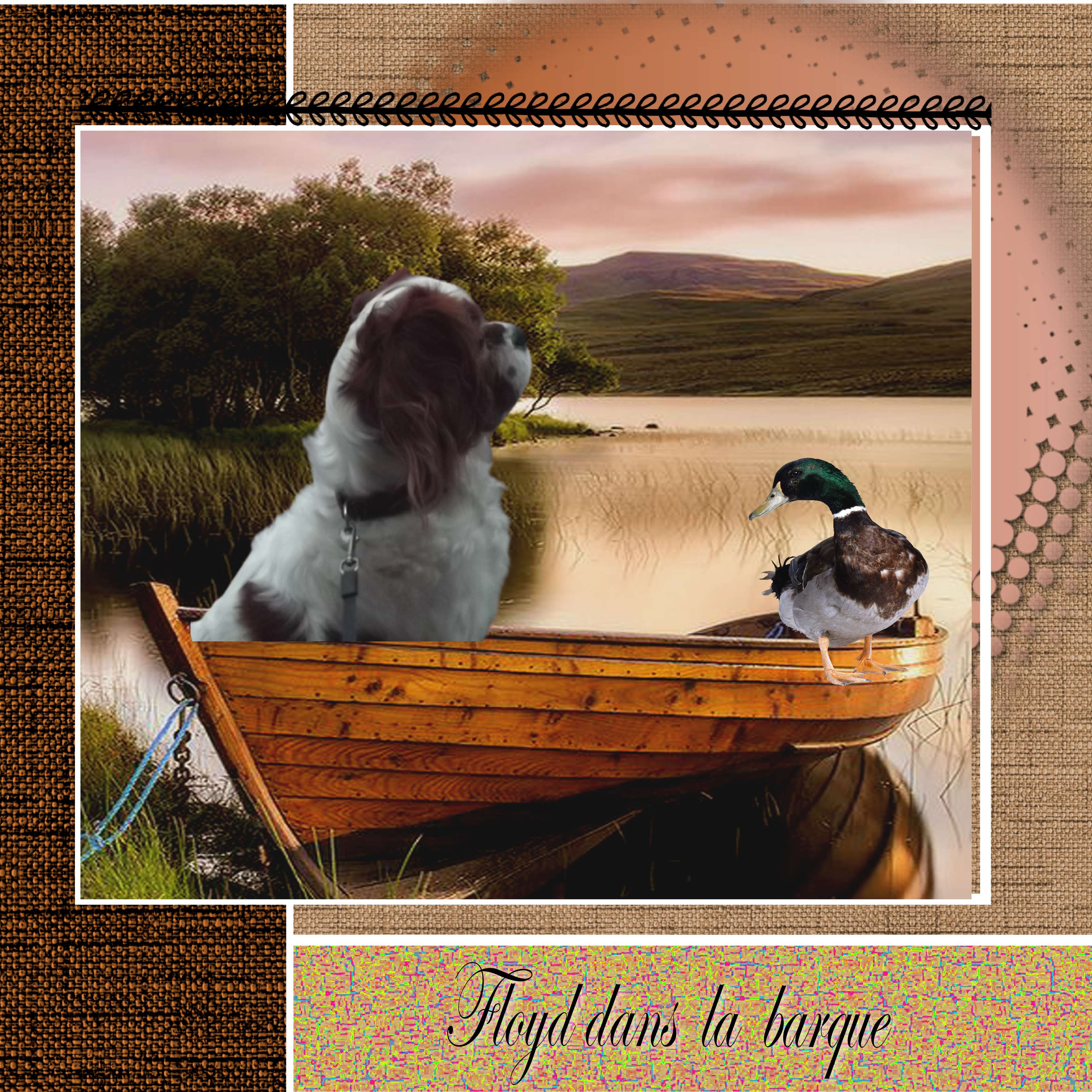 dans  la  barque.jpg