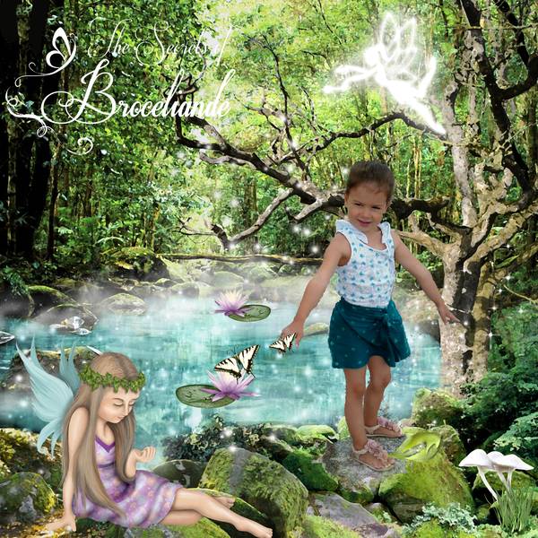 Dans la forêt de Brocéliande