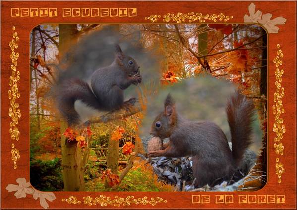 Dans la fôrêt du parc de la tête d'Or