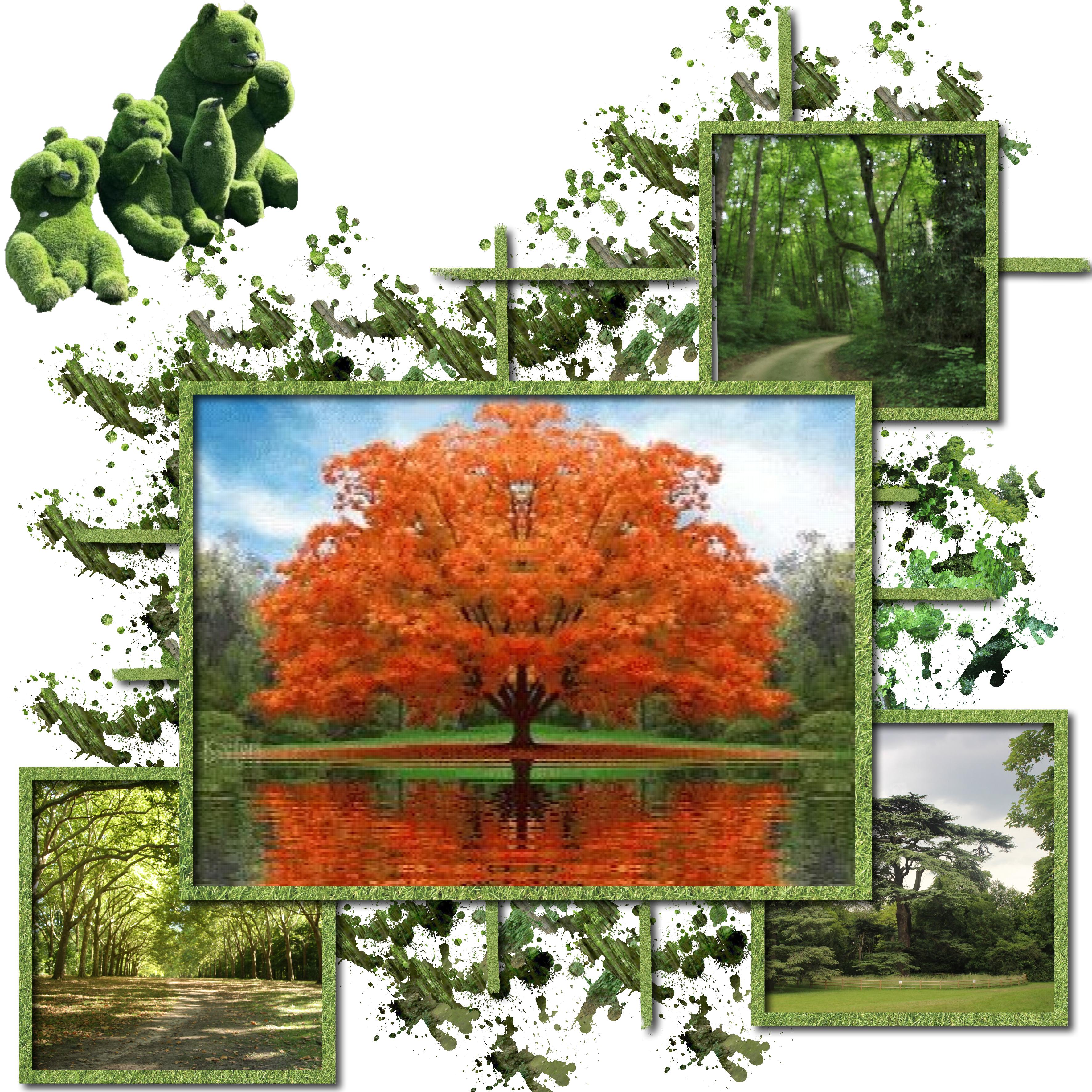 dans la nature.jpg