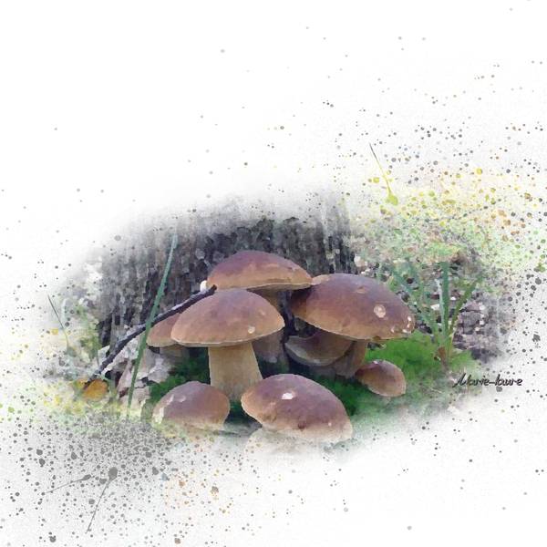 Dans la série Défi Laurette ....