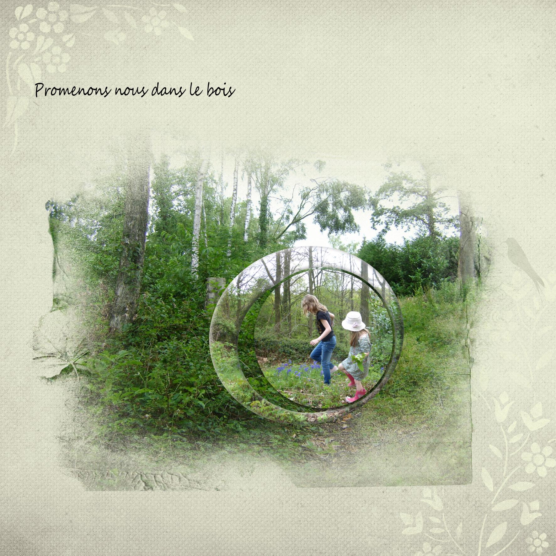 dans le bois.jpg