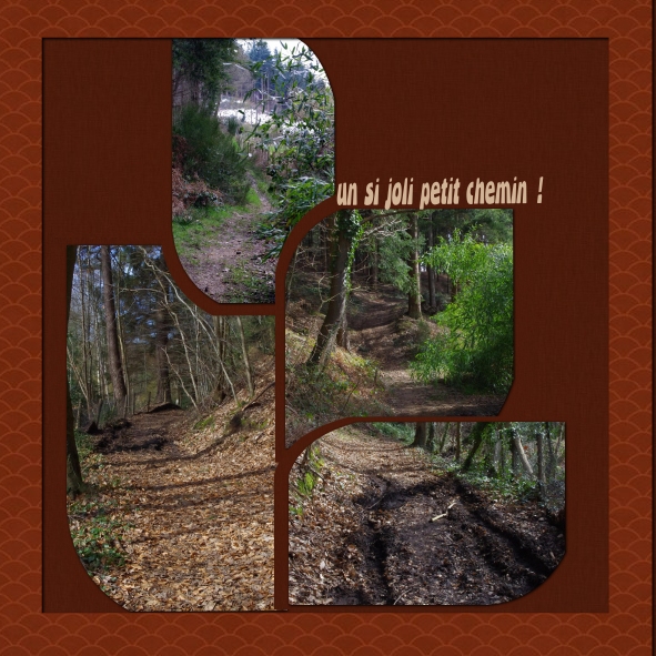 dans le Perche en hiver