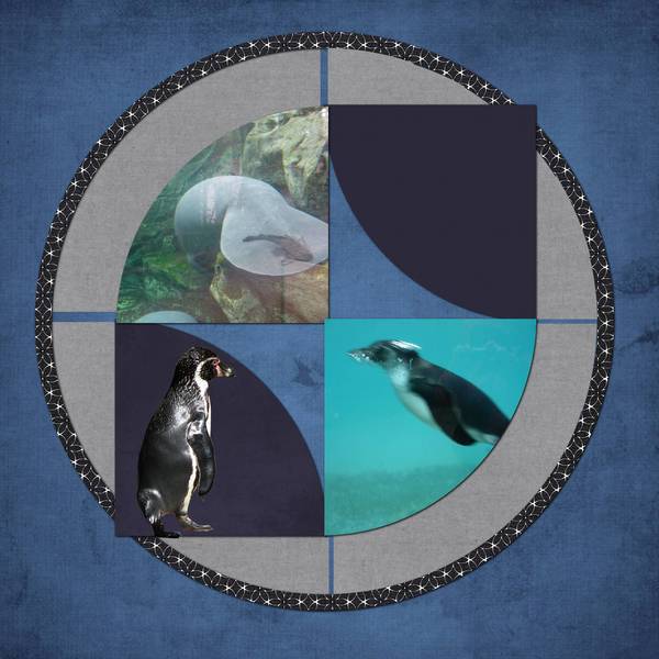 dans l'eau, ou à coté