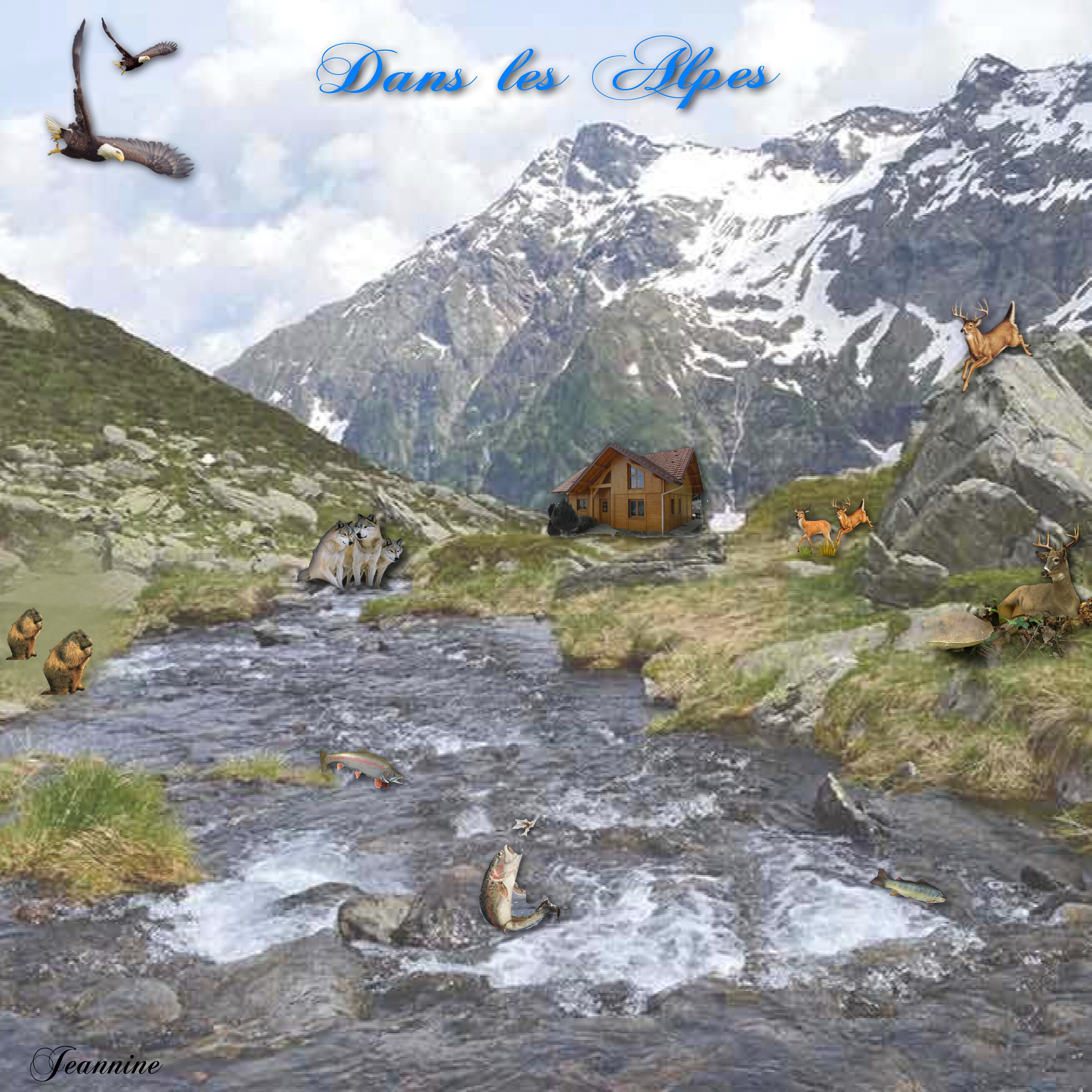 dans les Alpes  Jeannine.jpg