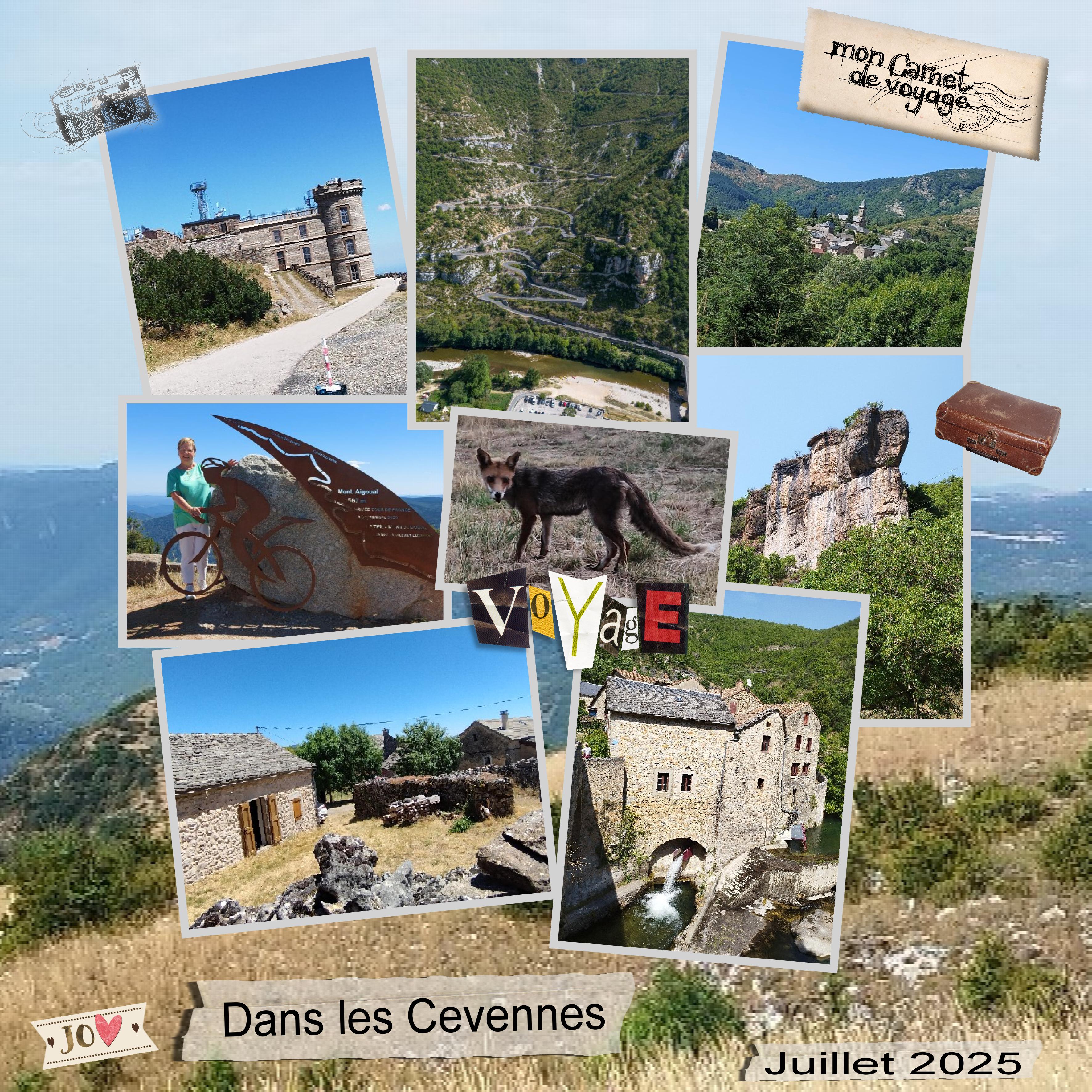 Dans les Cévennes.jpg