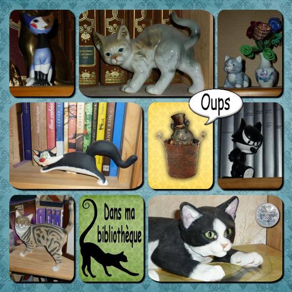 Dans ma bibliothèque