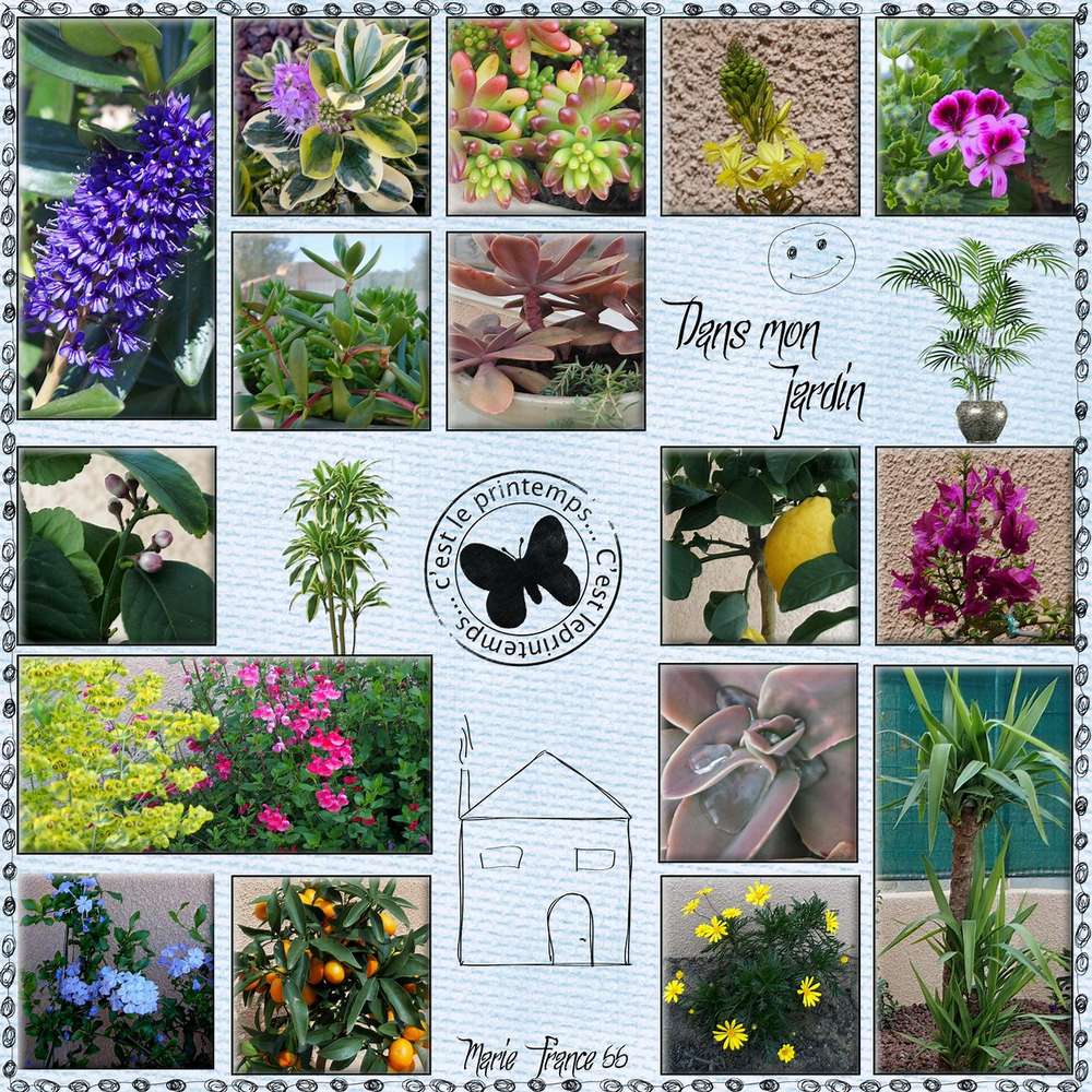 Dans mon jardin d'avril