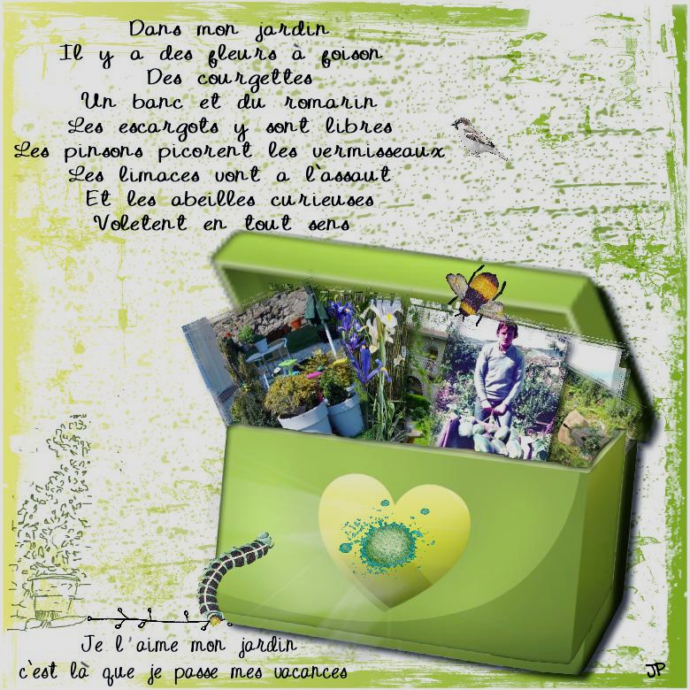dans mon jardin.jpg