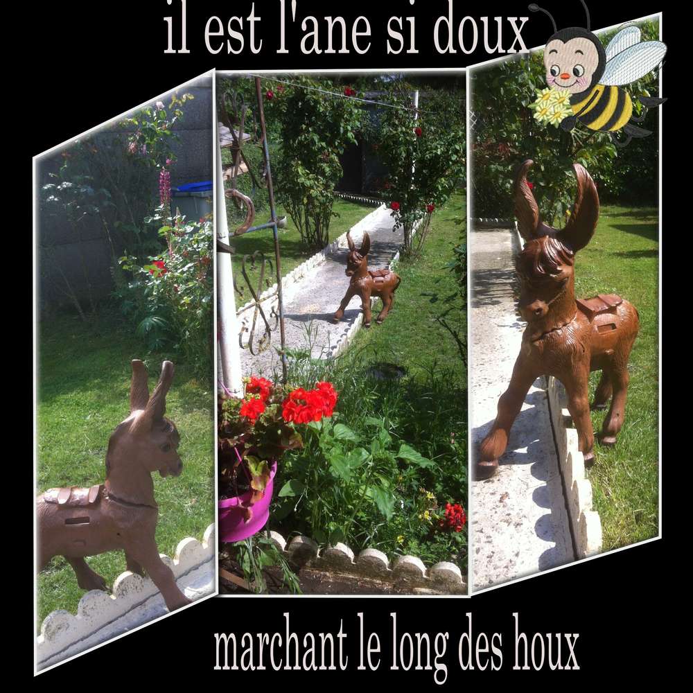 dans__mon_jardin