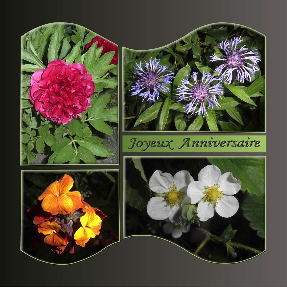 DD (ANDREE) - JOYEUX ANNIVERSAIRE