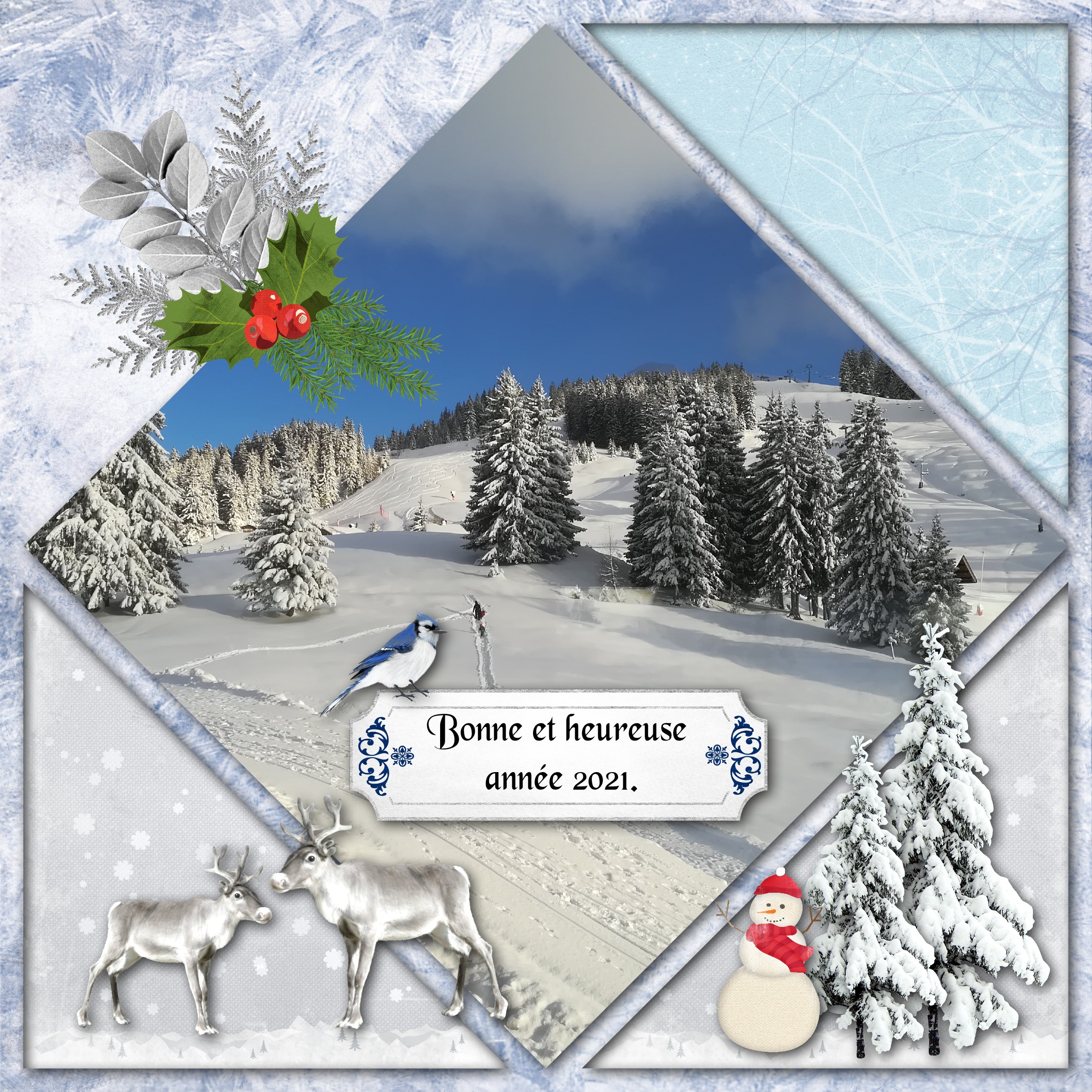 dd-voeux pour mes amis.jpg