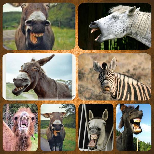 de qui se moque t on?