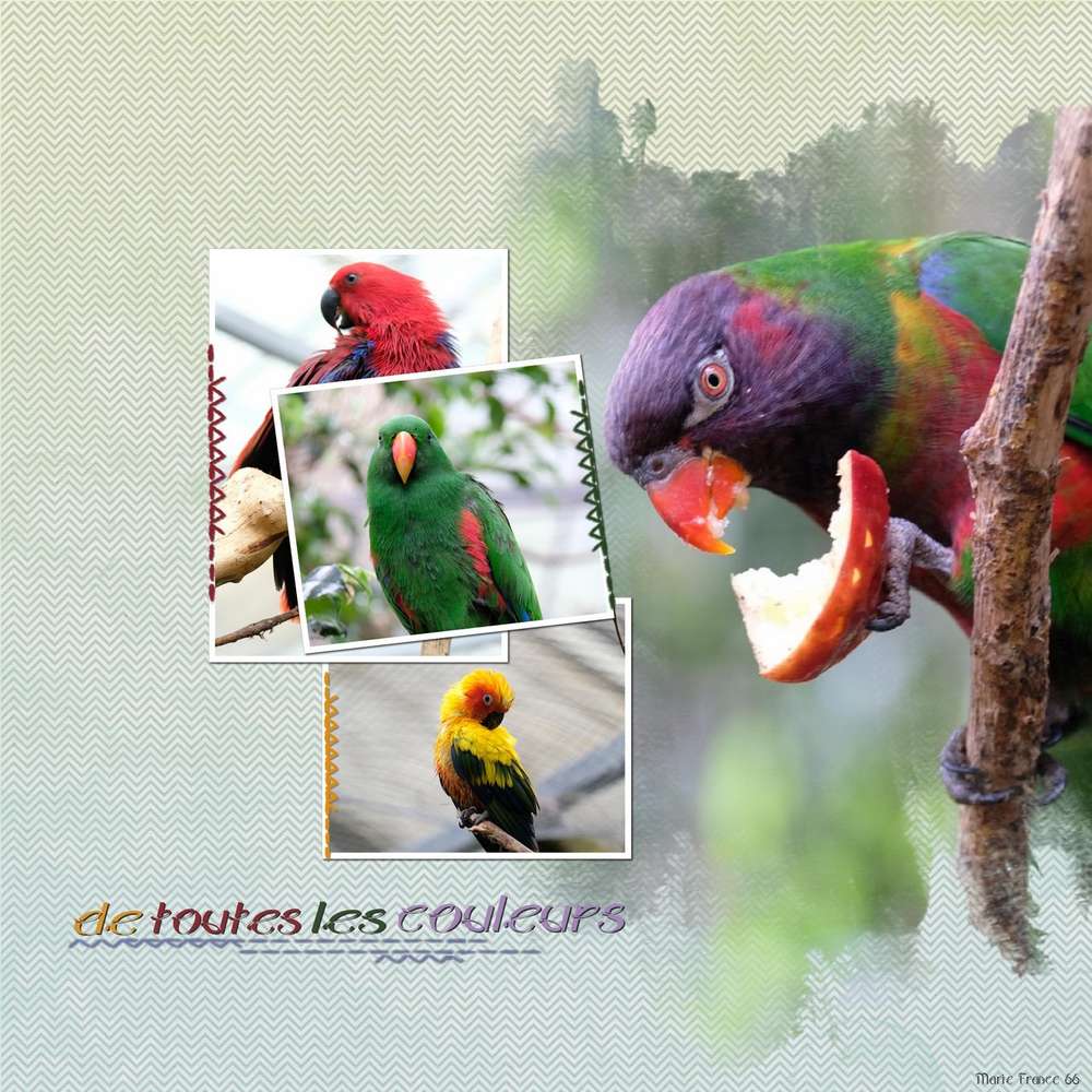 DE TOUTES LES COULEURS