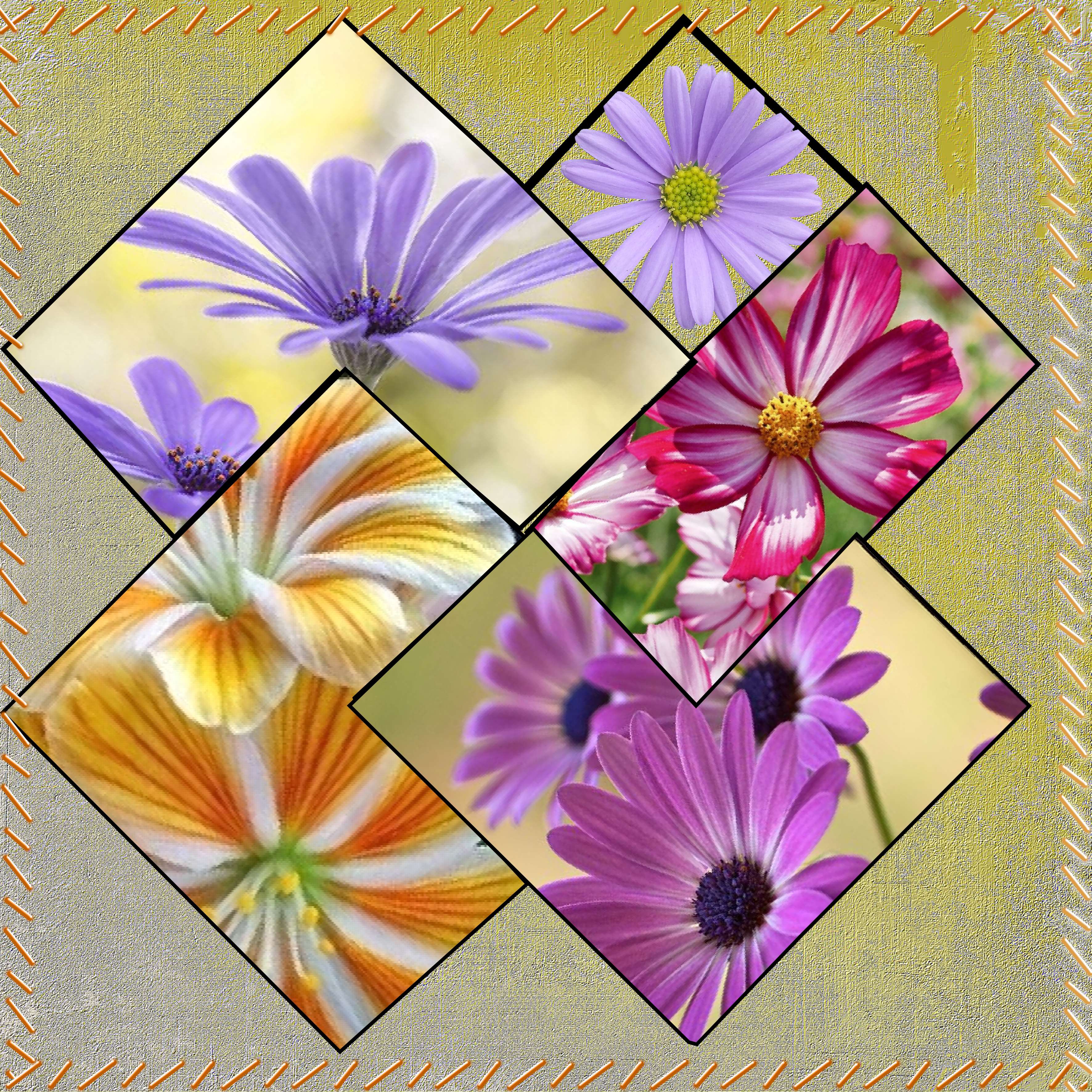 de toutes  less  couleurs.jpg